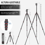 NEEWER 66"/168cm Trípode de Fibra Carbono para Cámara Cabeza de Bola Panorámica 360°,Placa Arca QR 1/4",Bolsa Portátil,Monopié Trípode Viaje Compacto Videocámara DSLR,Carga Máxima 26.5lb/12kg,N55C