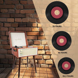 Halterrego Platino Vinilo Cottage Bluetooth out 4 Pies Desmontables Patrón Cuero Vintage