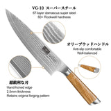 HOSHANHO Damasco Set Cuchillo 3 Piezas, Profesional Set Japoneses de Acero Damasco de 67 Capas, 20cm Cuchillo de Cocina, 18cm Cuchillo Santoku, 9.5cm Cuchillo de Fruta