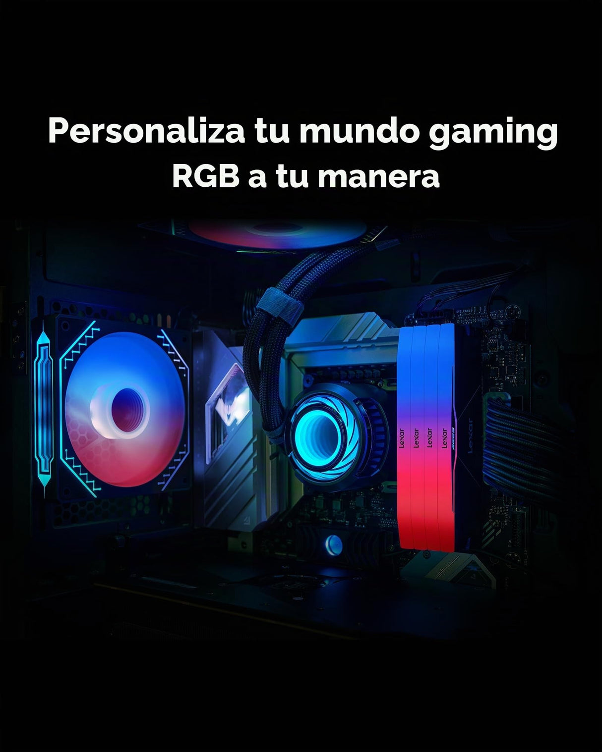 Lexar RGB DDR5 RAM 32GB Kit (2x16GB) 6000MHz CL28, PC Memoria 288-Pin UDIMM/Gaming Memoria computadora para Intel XMP 3.0/DRAM con tecnología SK hynix/CL28-36-36-68/1.4V