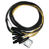 Avid Cable DigiSnake DB25-XLR M+F AES/EBU, 12 pies.