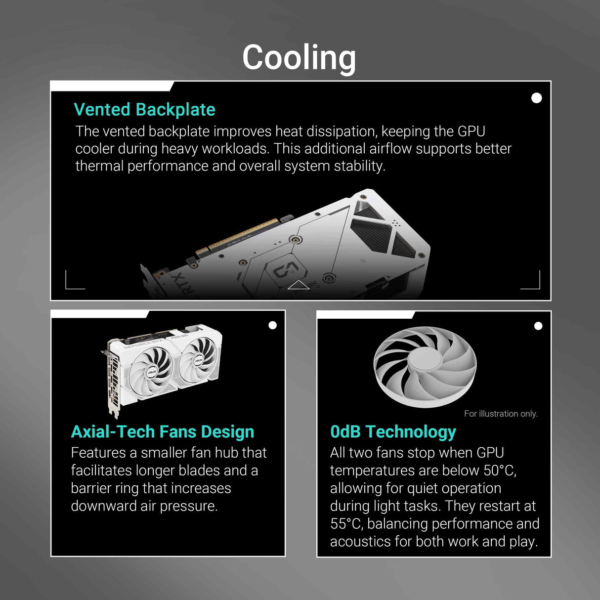 ASUS Dual - Grafikkarten - GeForce RTX 5060 - 8 GB GDDR7