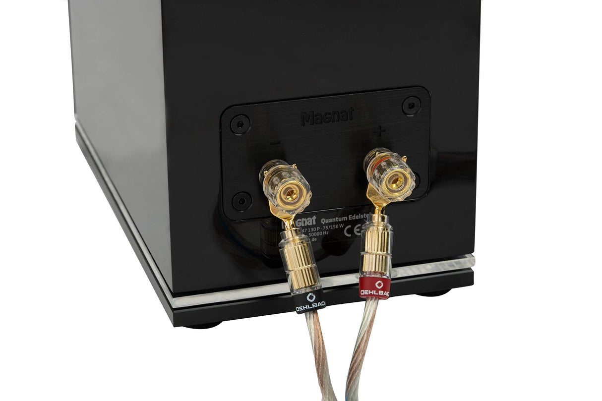Oehlbach Twin Mix Two - Cable para altavoz (2 cables de 6 mm², con conectores de terminal, 5 m), color plateado y transparente