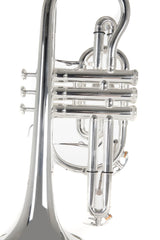 Roy Benson Bb-Cornet CR-302S (corneta profesional con diámetro ML, campana de latón de 119 mm, tudel de latón dorado, correderas exteriores de alpaca y válvulas de acero inoxidable), plateado