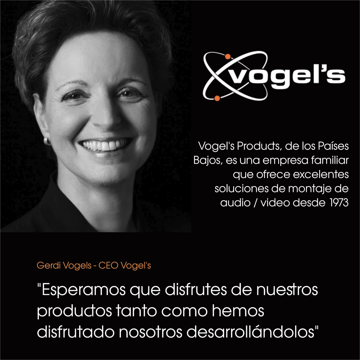 Vogel's Comfort TVM 3845 - Soporte de Pared Giratorio para televisores de hasta 100 Pulgadas, hasta 55 kg, Certificado TÜV, Giratorio hasta 180°, máx. VESA 600 x 400, compatibilidad Universal