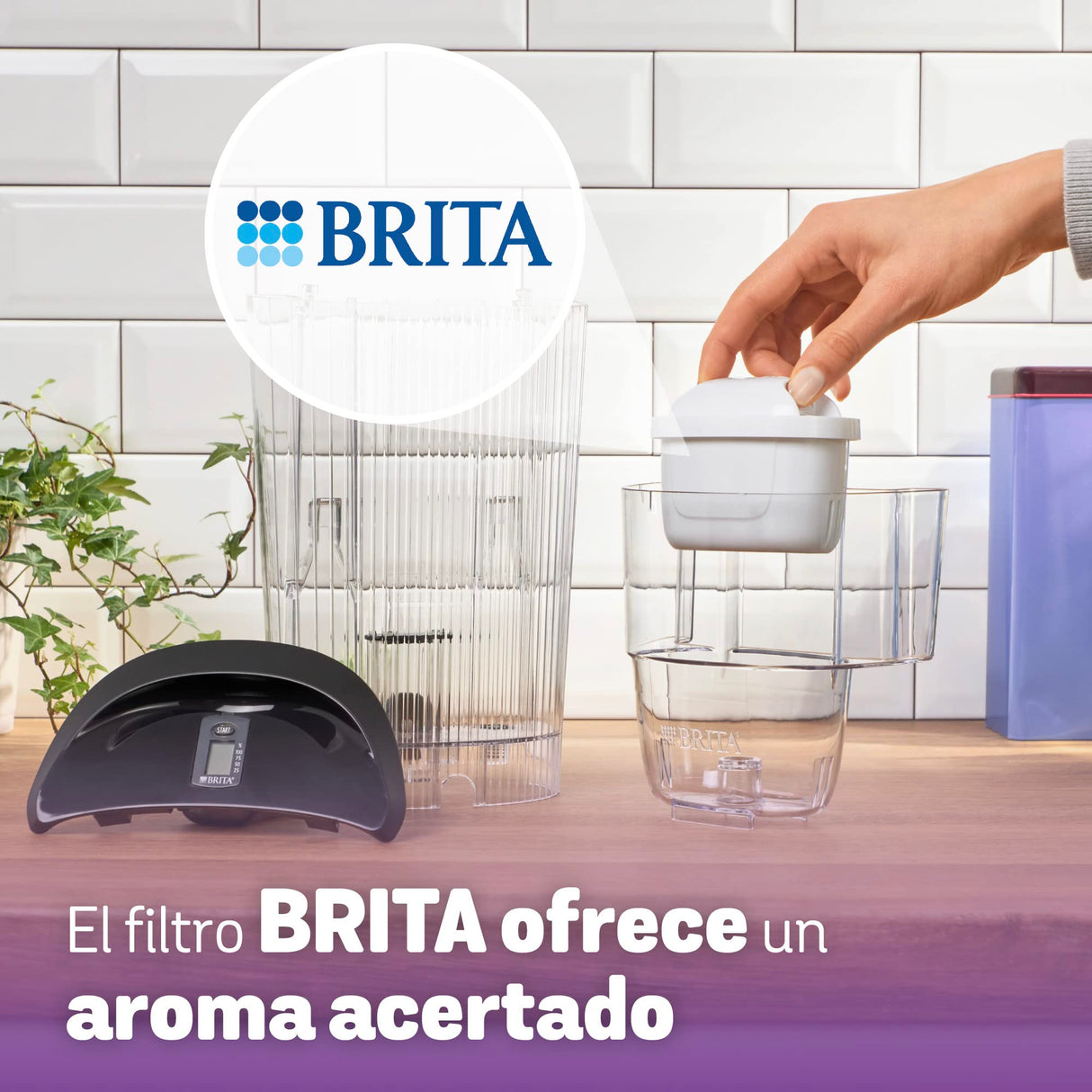Bosch Hogar Máquina multibebida, Cafetera de cápsulas, Hasta 70 bebidas, OneTouch, Servicio individual, Personalización de bebidas, Filtración de agua, Color Negro