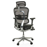hjh OFFICE Silla de dirección con reposapiés ERGOHUMAN Plus LEGPRO GEN2 Silla de Oficina ergonómica de diseño Original, Totalmente Equipada, Malla Negra