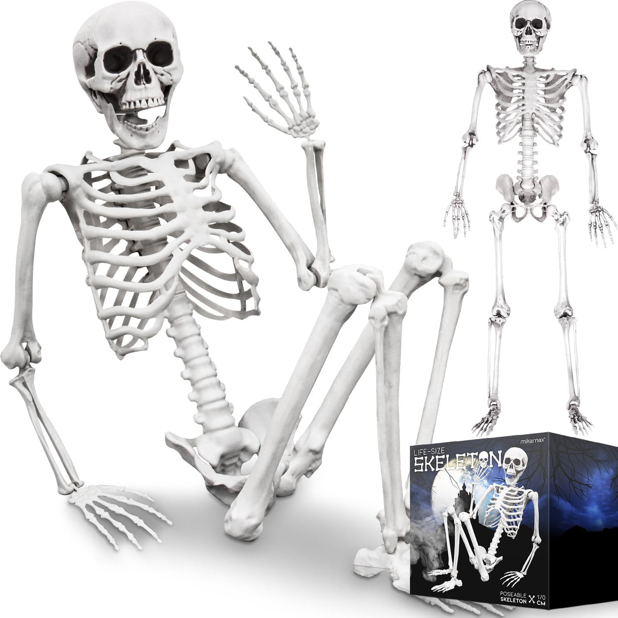 mikamax Esqueleto de tamaño Real - 170 cm (04184)
