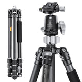 K&F CONCEPT Trípode Cámara,173cm Trípode de Carbono Fotografía Compacto y Professional con 360° Rótula de Bola y Placa de Liberación para Cámara DSLR X254C4