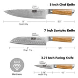 HOSHANHO Damasco Set Cuchillo 3 Piezas, Profesional Set Japoneses de Acero Damasco de 67 Capas, 20cm Cuchillo de Cocina, 18cm Cuchillo Santoku, 9.5cm Cuchillo de Fruta