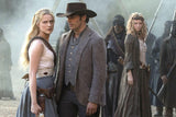 Westworld - Saisons 1 à 4 [DVD]