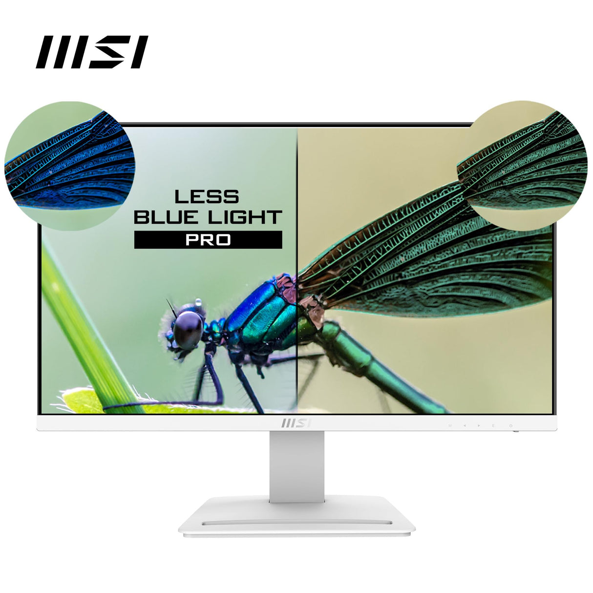 MSI PRO MP243XP Monitor Oficina 23.8" FHD, Panel IPS 1920 x 1080, 100 Hz, Pantalla Confort Ocular, Montaje VESA, Altavoces Integrados, Soporte Display Kit, Regulable, HDMI 1.4, DP 1.2a