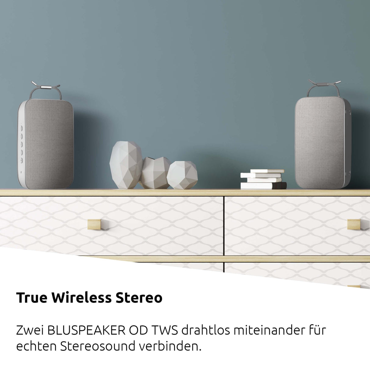 TechniSat Blupeaker TWS XL - Altavoz Bluetooth portátil (con estéreo True inalámbrico, Manos Libres, Bluetooth, 2 Altavoces estéreo de 15 W, batería, Entrada Auxiliar), Color Gris