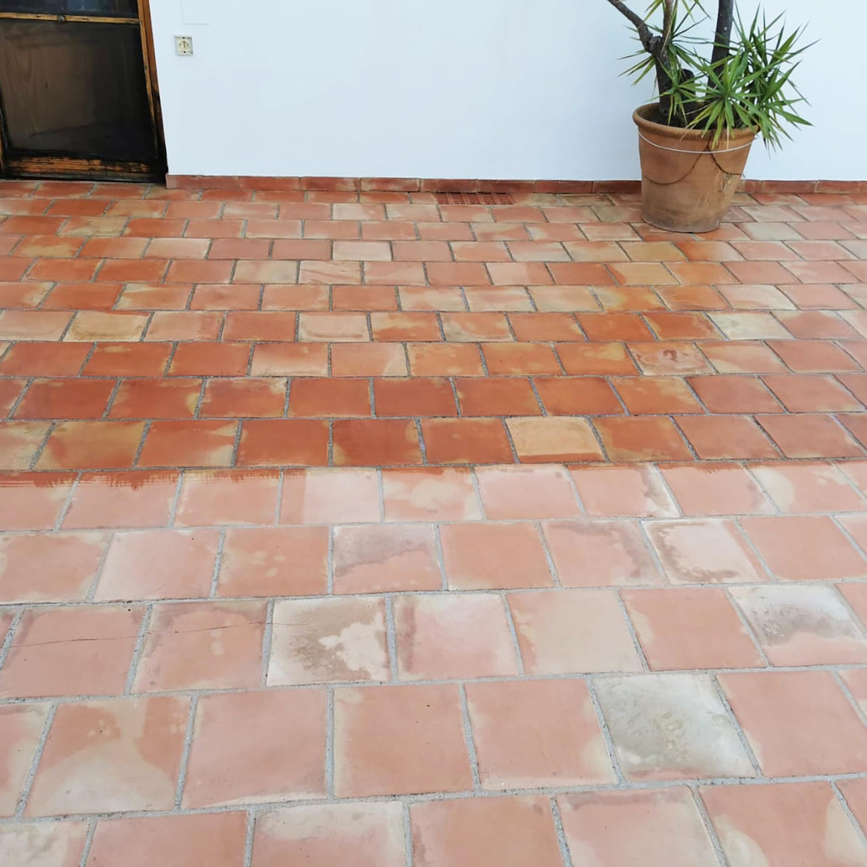 MONESTIR MITROL WET PROTECTOR ANTIMANCHA EXTERIORES EFECTO MOJADO 10L MONESTIR