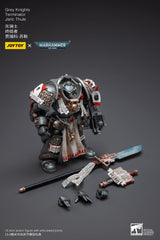 Warhammer Bloomage Joytoy Tech - Joytoy 40,000 Grey Knights Terminator Jaric Thule 1/18 Figura (Net)
