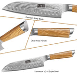 HOSHANHO Damasco Set Cuchillo 3 Piezas, Profesional Set Japoneses de Acero Damasco de 67 Capas, 20cm Cuchillo de Cocina, 18cm Cuchillo Santoku, 9.5cm Cuchillo de Fruta