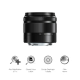 Panasonic LUMIX H-FS35100 - Objetivo Tele Zoom para cámaras de montura M4/3 (Focal 35-100 mm, F4-F5.6, tamaño filtro 46 mm, MEGA O.I.S), negro