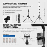 NEEWER Basico Kit Iluminación Panel Luz Video LED 2 Paquetes con 2 59'' Soportes y 2 Soportes Teléfono, 850lx/0.5m Bi Color 2700K-6500K Luz de Estudio Regulable para Foto Grabación Live Stream, BP300