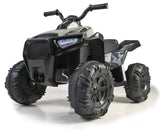 FEBER- Quad Boxer, Vehículo eléctrico a batería, 12 V, Verde (Famosa 800012541), Versión previa