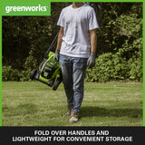 Greenworks Cortacésped de batería GD24LM33K2 (Li-Ion 24V 33cm ancho corte hasta 280m² 30L recogedor de hierba 5 veces ajuste altura corte central 25-75mm Incluye batería de 2Ah y cargador)