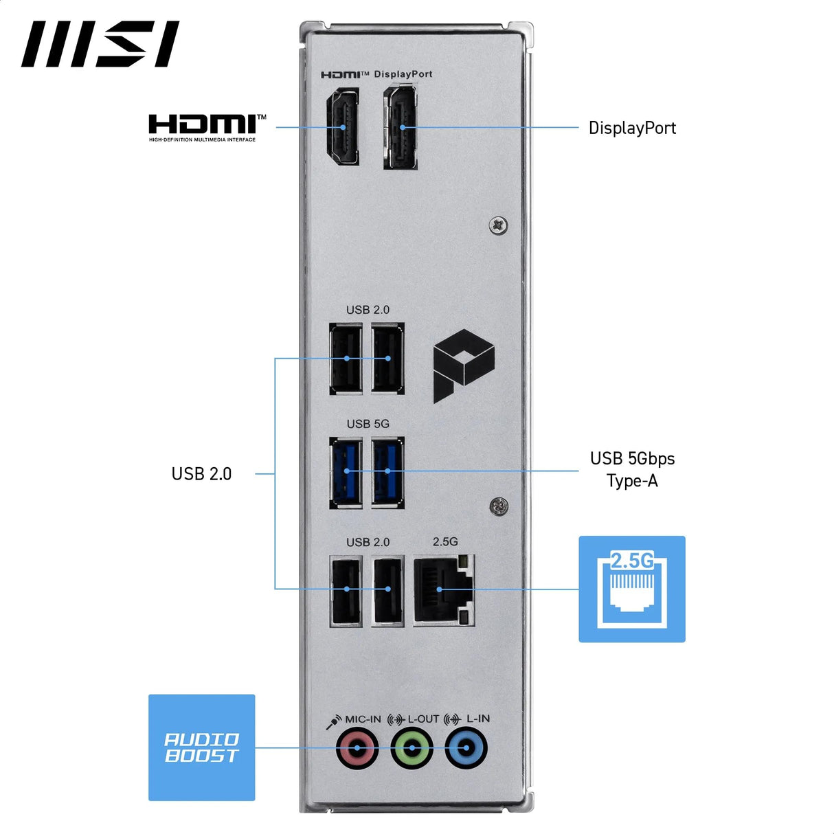 Pro H810M-B