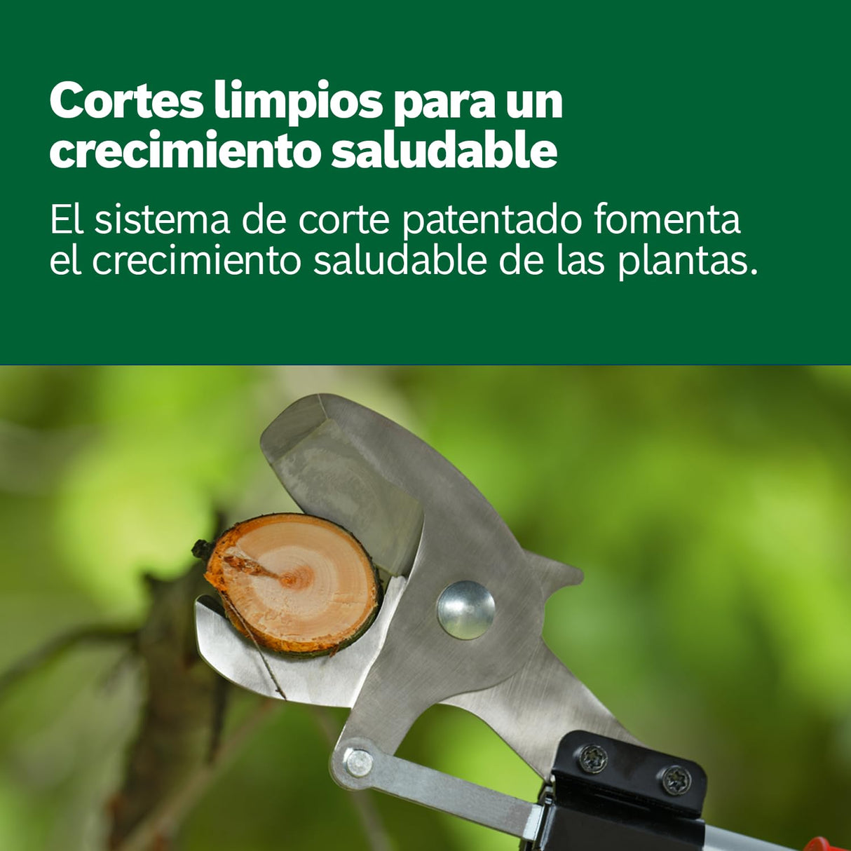 Bosch podadora a batería AdvancedPrune 18V-45 (para cortar sin esfuerzo ramas de hasta 45 mm; sistema de 18 voltios; hasta 600 cortes; con bastón telescópico, sin batería ni cargador)