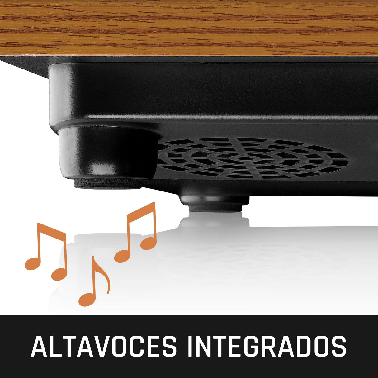 Lenco LS-10 Holz, Tocadiscos