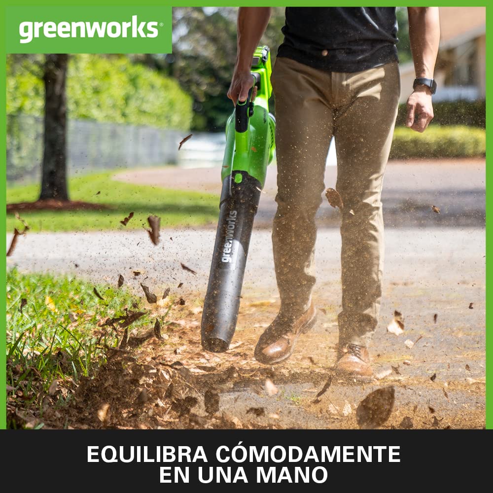 Greenworks GD40ABK2X Soplador de Hojas a Batería Axial con Motor sin Escobillas, 210 km/h, 15,6 m³/min, Dos Baterías de 40V 2Ah y Cargador, Garantía de 3 Años