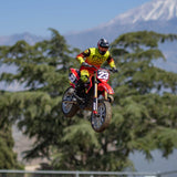 LOSI RC Promoto-MX 1/4 Motorcycle RTR (Battery and Charger Not Included), FXR, LOS06000T1, Red