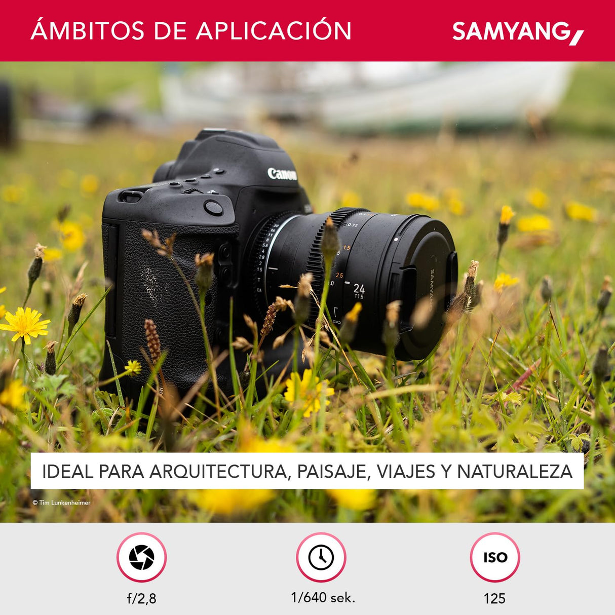 Samyang SA1514 - Lentes de Cámara Compatibles con 24MM T 1.5 MK2 MFT, Negro