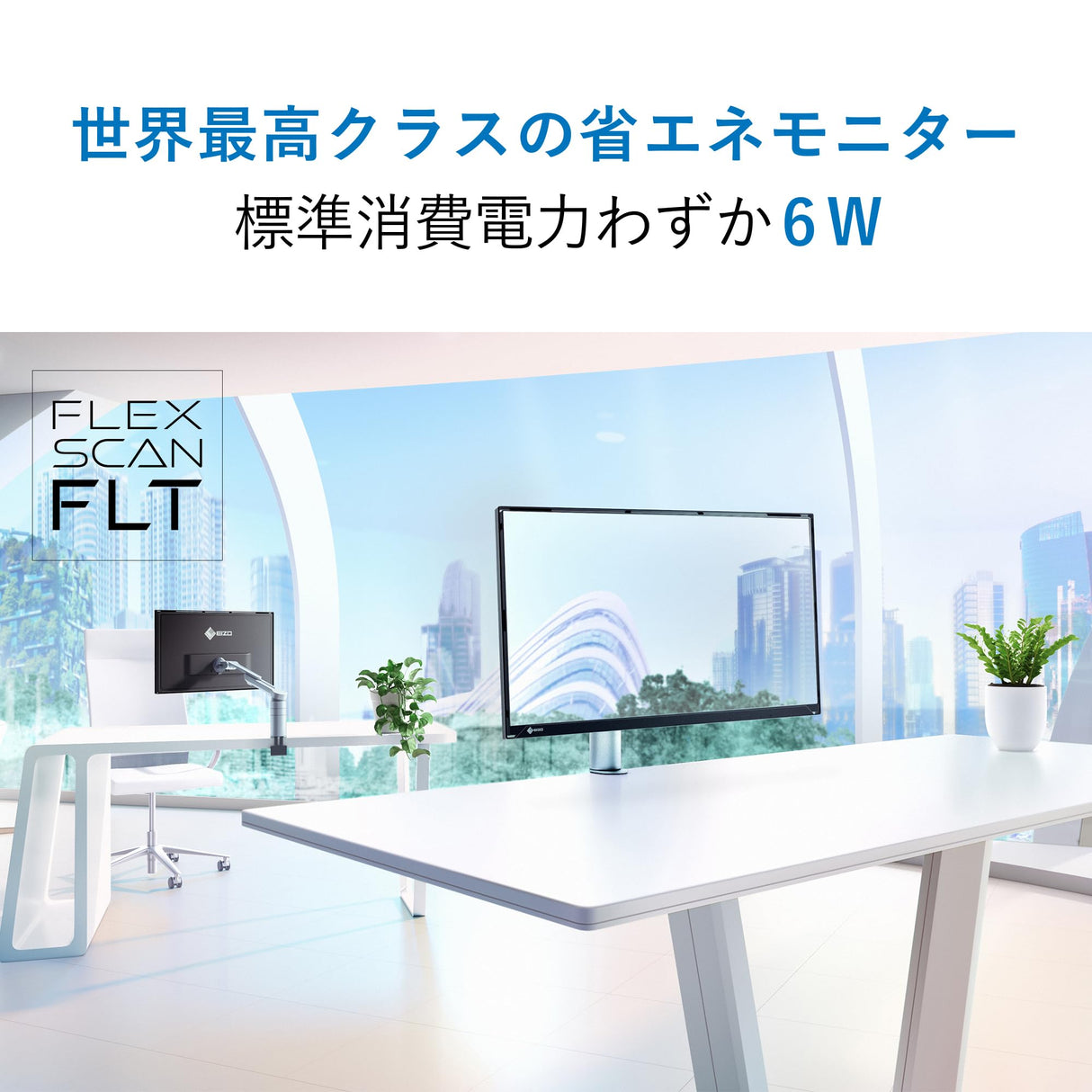 EIZO FlexScan FLT - Monitor Profesional - 23" IPS, 1920x1080, 1000:1, 250cd/m2