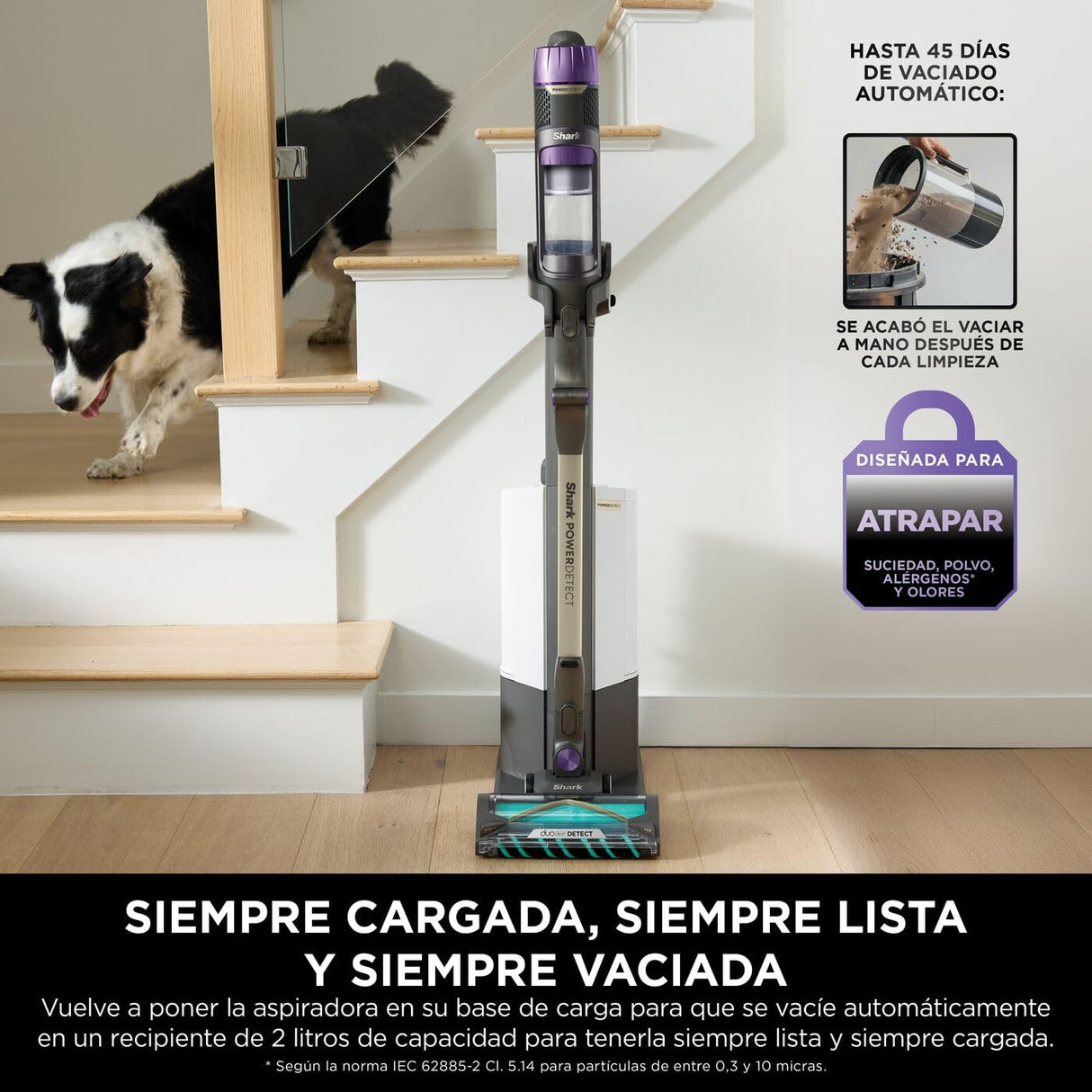 Shark PowerDetect Clean&Empty Aspiradora sin cable, DuoClean Detect, limpieza inversa, base de autovaciado de 2 l, Anti-Hair Wrap Plus, autonomía de 70 min,cepillos multisuperficie, gris, IP3251AMZEUT