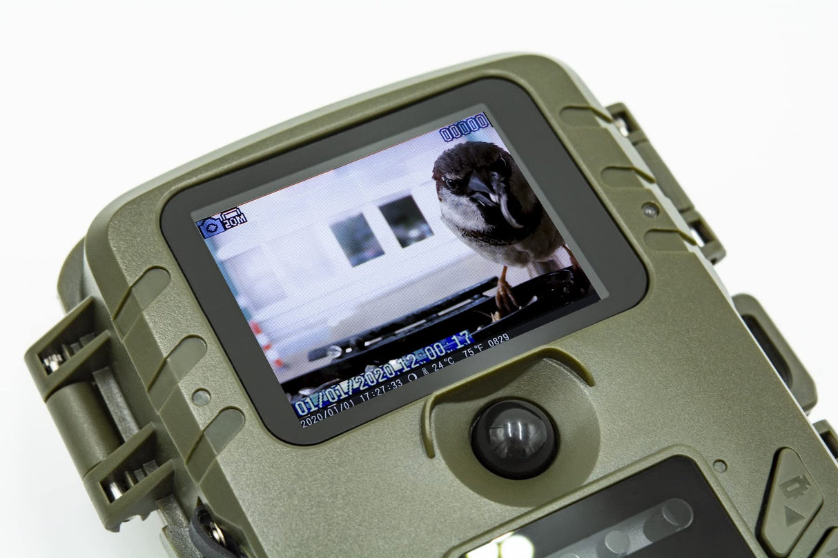 Technaxx Estación de la cámara del alimentador del pájaro de Technaxx con el convite Que cuelga, Caja de 150 g para el alimento y - resolución Video de FullHD - Kit versátil de la instalación TX-165