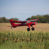 E-Flite Aviones Multicolor EFL12550
