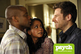 Psych - Die komplette Serie/Staffel 1-8 [Alemania] [DVD]