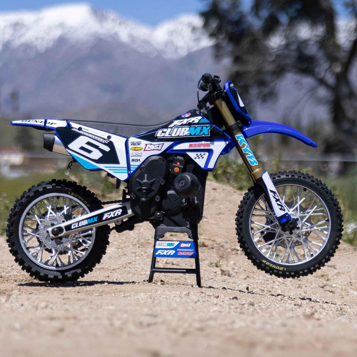LOSI RC Promoto-MX 1/4 Motorcycle RTR (Battery and Charger Not Included), ClubMX, LOS06000T2, Blue