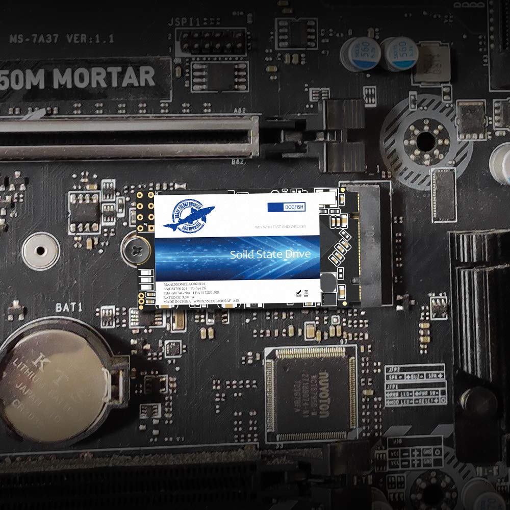 Dogfish m.2 2242 1TB Ngff Unidad De Estado Sólido Incorporada Altura de Alta Velocidad Unidad de Disco Duro de Alto Rendimiento para computadora portátil de Escritorio(1TB, m.2 2242)