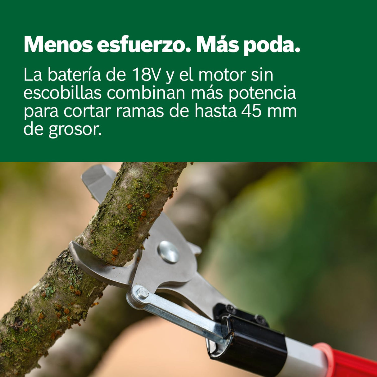 Bosch podadora a batería AdvancedPrune 18V-45 (para cortar sin esfuerzo ramas de hasta 45 mm; sistema de 18 voltios; hasta 600 cortes; con batería, cargador y bastón telescópico)