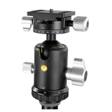 Vanguard Veo 3+ 303CBS - Trípode de Carbono descentrable con rótula de Bola 2 Ejes