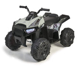 FEBER- Quad Boxer, Vehículo eléctrico a batería, 12 V, Verde (Famosa 800012541), Versión previa