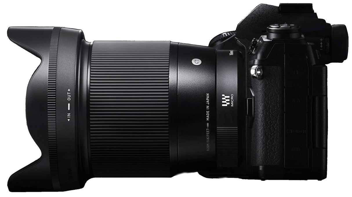 Sigma 16 mm F1.4 DC DN Contemporary - Objetivo para Sony E, color negro