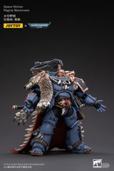 MERCHANDISING LICENCE Bloomage Joytoy Tech Joytoy Warhammer 40,000 - Space Wolves Ragnar Blackmane 1/18 Action Figure (Net)