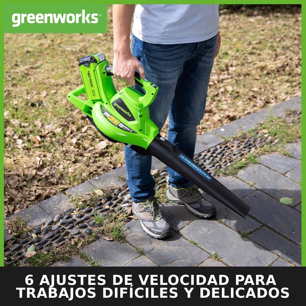 Greenworks GD40BVK2X Soplador Aspirador de Hojas a Batería con Motor sin Escobillas, 280 km/h, 9,63 m³/min, Bolsa Recogedora de 45L, Dos de las Baterías de 40V 2Ah y Cargador, Garantía de 3 Años