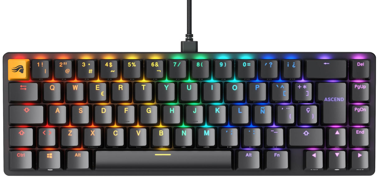 Glorious Gaming GMMK 2 Compact 65% - Teclado gaming mecánico, compacto TKL 65%, carcasa de aluminio, personalizable, keycaps dobles, switches Fox, RGB, distribuciones QWERTY español - Negro