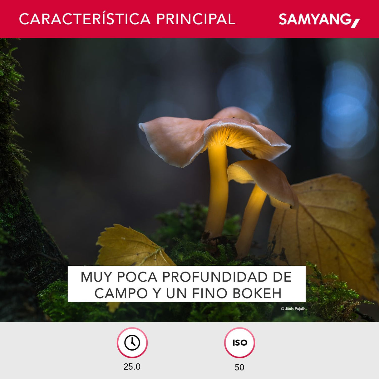 Samyang F1112210101 - Objetivo fotográfico DSLR para Fuji X (Distancia Focal Fija 135mm, Apertura f/2-22 ED UMC, diámetro Filtro: 77mm), Negro