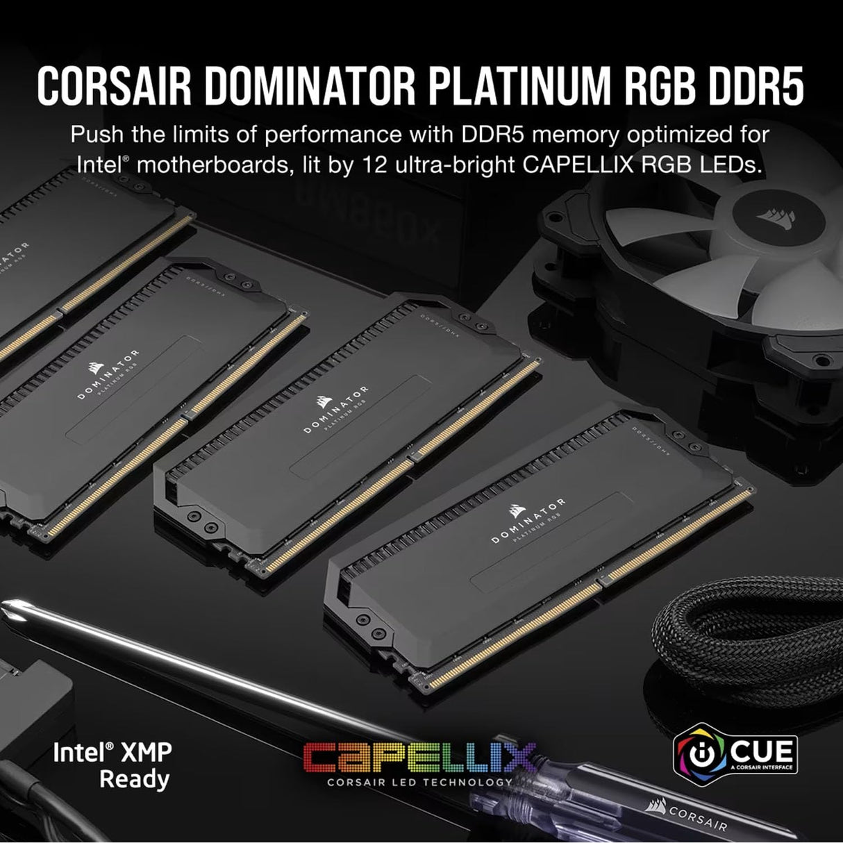 CORSAIR Dominator Platinum RGB DDR5 RAM 32 GB (2 x 16 GB) 6000 MHz CL36 Intel XMP iCUE Memoria de computadora Compatible - Negro (CMT32GX5M2E6000C36)