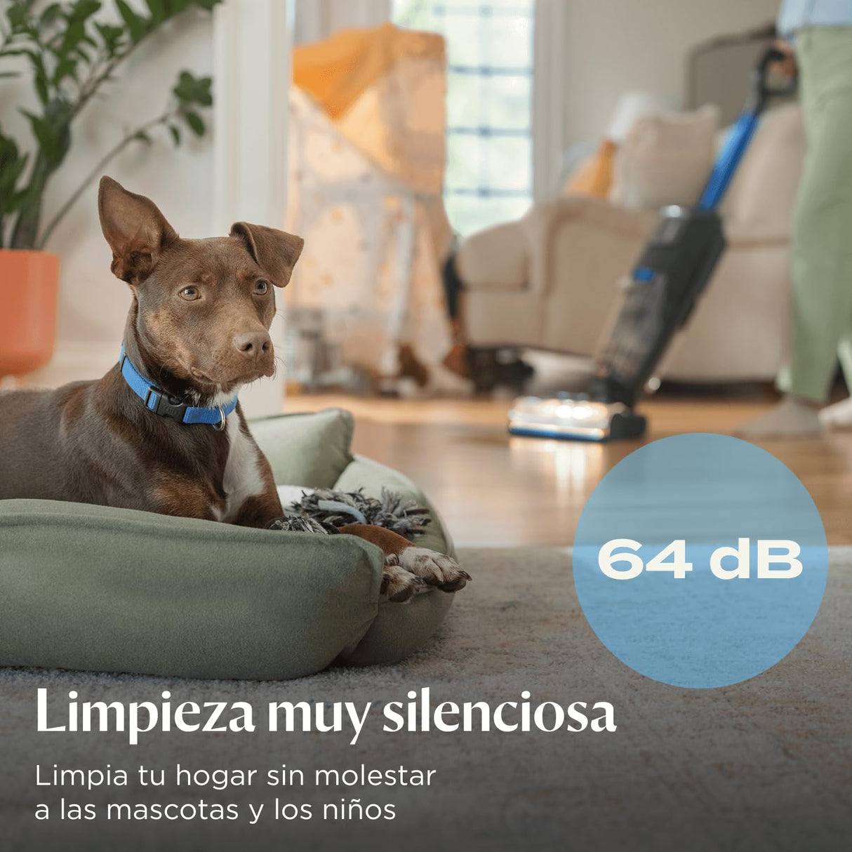 Bissell CrossWave OmniFind, Aspiradora de Mano Sin Cable, Aspirado y Mopa al Mismo Tiempo, con Luces LED FurFinder para Detectar Suciedad y Pelos de Mascotas, 185m² Limpieza Multisuperficie, 4006N
