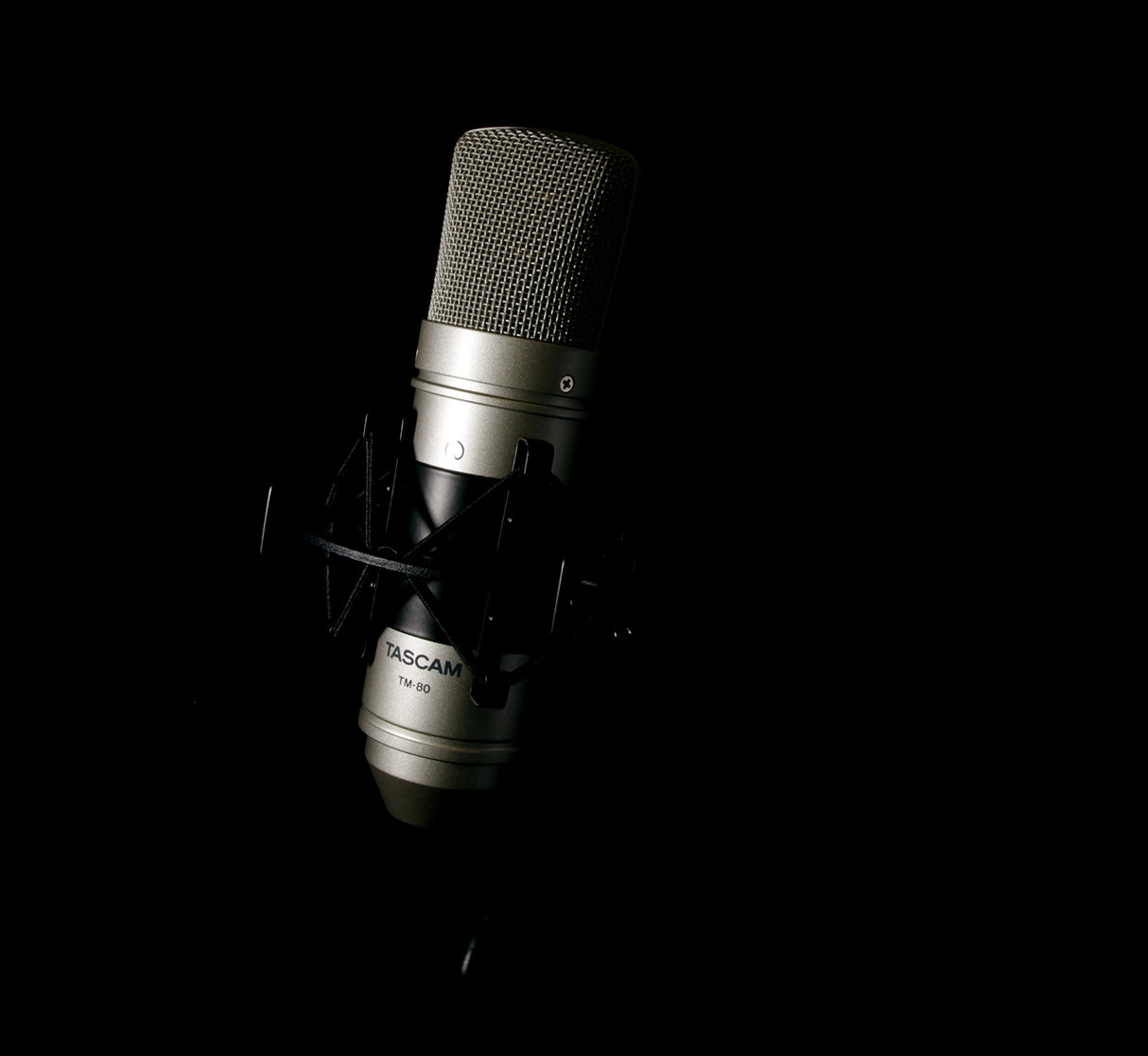 Tascam TM-80 – Micrófono de condensador