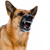 Kh security 100146 - Perro reloj electrónico