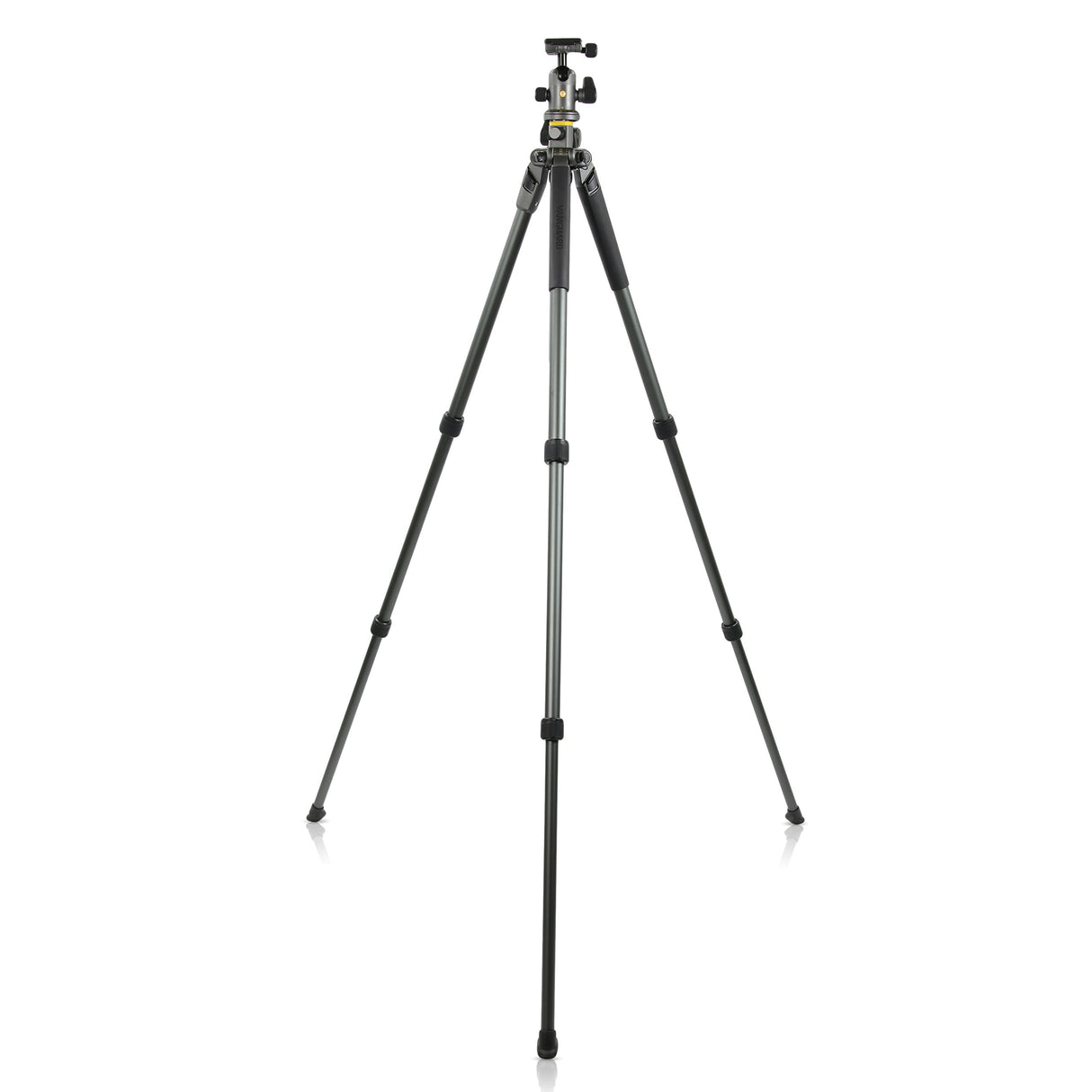 Vanguard Alta Pro 2+ 263AB 100 - Trípode aluminio con rótula bola con columna multi-ángulo